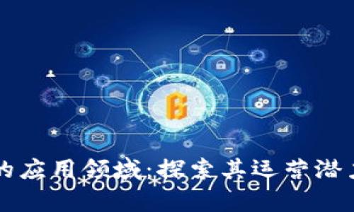 区块链技术的应用领域：探索其运营潜力与发展前景